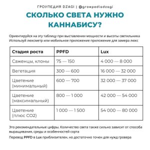 свет.jpg
