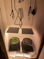 IMG_0496.jpeg