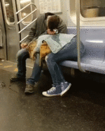 drunk_people_do_so_many_stupid_things_30.gif