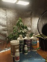IMG_20251103_130802.jpg