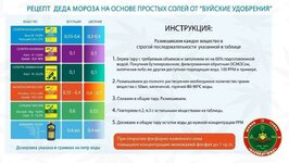 IMG_2144.jpeg