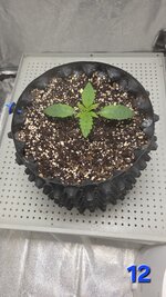 20260220_002039.jpg