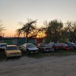62173.jpg 62173.jpg