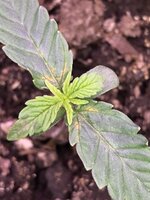 IMG_1048.JPG