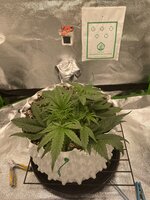 IMG_4816.jpeg