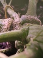 1000011377.jpg