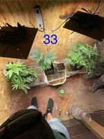 IMG_5782.jpeg