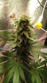 1000135913.jpg