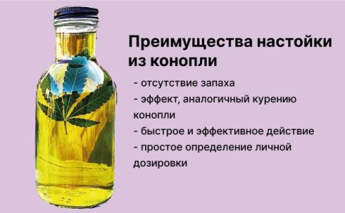 Преимущества применения настойки марихуаны