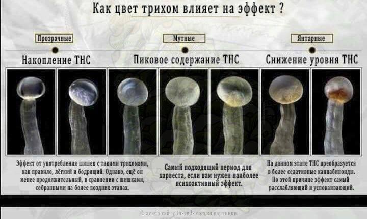 5C6EC0B7-F09F-4335-B2D7-B060C2038CA9.jpeg