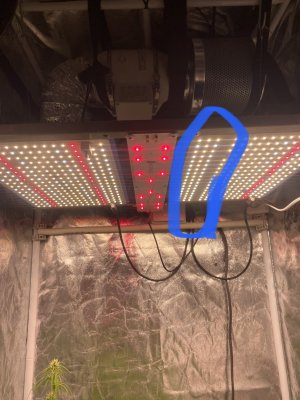 70082E75-D5C3-4539-BD19-FC2615637E6B.jpeg