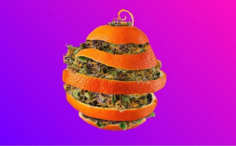 Апельсиновая кожура