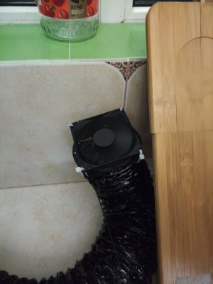 MVIMG_20230331_201001.jpg