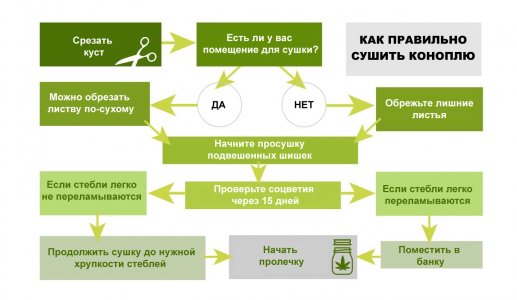 222.jpg 222.jpg