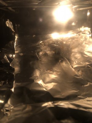 IMG_3320.jpeg