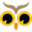 nightowlseeds.com